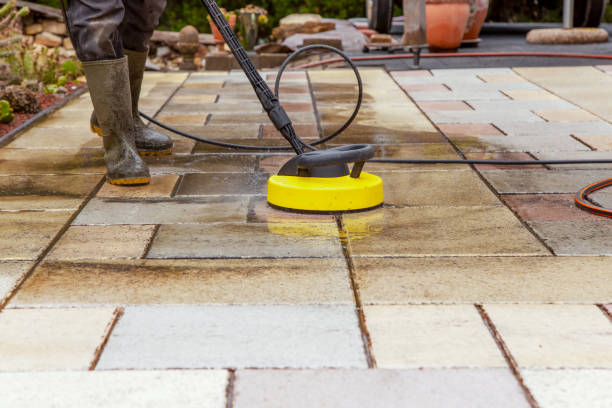Pre-Holiday Cleaning in Pinecrest, FL