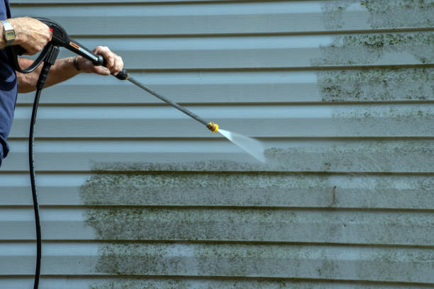 Best Sidewalk and Walkway Cleaning  in Pinecrest, FL